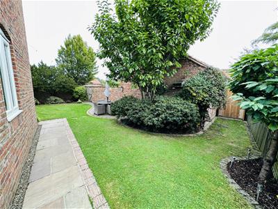 Picture 28